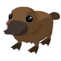 Platypus ADM Adopt Me — Roblox, лот №247279