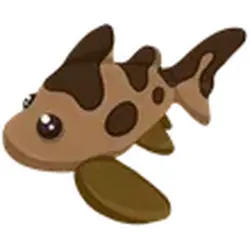 Leopard Shark ADM Adopt Me — Roblox, лот №247736