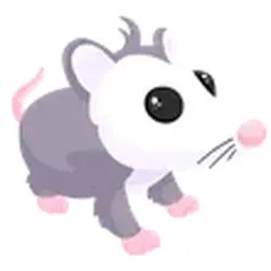 Possum ADM Adopt Me — Roblox, лот №247865