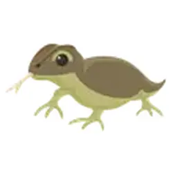Komodo Dragon ADM Adopt Me — Roblox, лот №248256