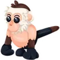 Capuchin Monkey ADM Adopt Me — Roblox, лот №248500