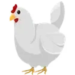 Chicken ADM Adopt Me — Roblox, лот №248510