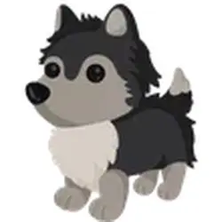 Husky ADM Adopt Me — Roblox, лот №248544