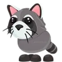 Raccoon ADM Adopt Me — Roblox, лот №248676