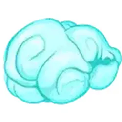 Flying Cloud ADM Adopt Me — Roblox, лот №248691