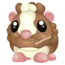 Chocolate Dutch Guinea Pig ADM Adopt Me — Roblox, лот №248809