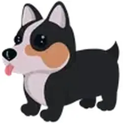 Royal Corgi ADM Adopt Me — Roblox, лот №248898