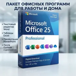 Microsoft Office Professional