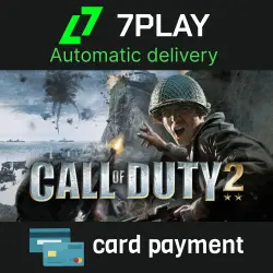 Call of Duty 2 - Steam Account [24/7]