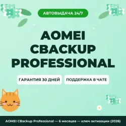 AOMEI CBackup Professional — 6 months — ключ активации (2026)