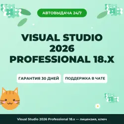 Visual Studio 2026 Professional 18.x — лицензия, ключ
