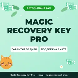 Magic Recovery Key Pro — 1 year | License Key
