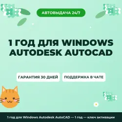 1 год для Windows Autodesk AutoCAD — 1 year | License Key