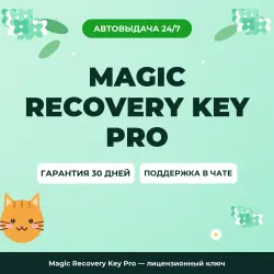 Magic Recovery Key Pro | License Key
