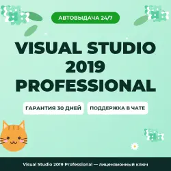 Visual Studio 2019 Professional | License Key