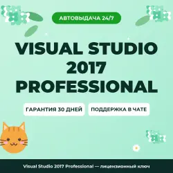 Visual Studio 2017 Professional | License Key
