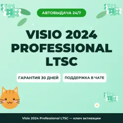 Visio 2024 Professional LTSC — ключ активации