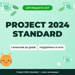 Project 2024 Standard — ключ активации