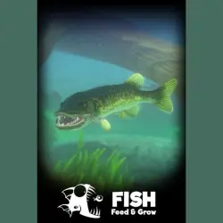 Feed and Grow: Fish