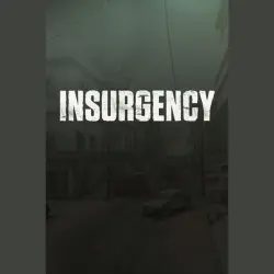 Insurgency