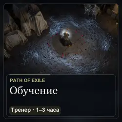 Path of Exile: обучение с тренером · 1–3 часа