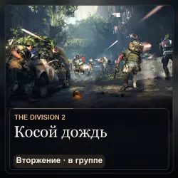 The Division 2: вторжение «Косой дождь» в группе, PC