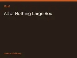 All or Nothing Large Box #577169189 — Rust, лот №276407