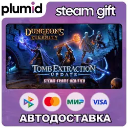 Dungeons of Eternity Steam Gift / Россия + МИР / АВТО