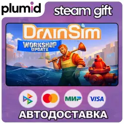DrainSim Steam Gift / Россия + МИР / АВТО