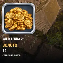 Золото Wild Terra 2: New Lands — все серверы (12 золота)