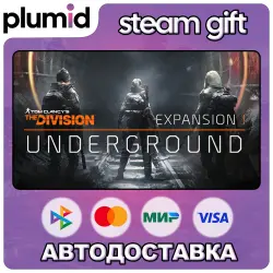 DLC Tom Clancy's The Division - Underground Steam Gift / Россия + МИР / АВТО