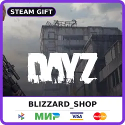 DayZ - Steam Gift (RU, KZ, UA, TR), auto delivery 24/7
