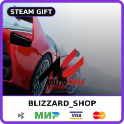 Assetto Corsa - Steam Gift (RU, KZ, UA, TR), auto delivery 24/7