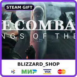 ACE COMBAT 8: WINGS OF THEVE - Steam Gift (RU, KZ, UA, TR), auto delivery 24/7