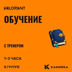 Valorant coaching — 1–3 hours (per hour)