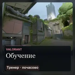 Обучение с тренером Valorant — 1–3 часа (почасово)