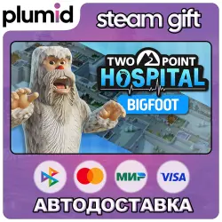 DLC Two Point Hospital: Bigfoot Steam Gift / Россия + МИР / АВТО