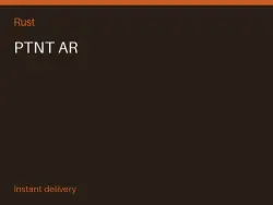 PTNT AR #573102219 — Rust, лот №265036