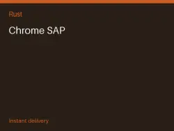 Chrome SAP #576084574 — Rust, лот №265114