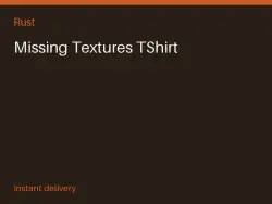Missing Textures TShirt #577155165 — Rust, лот №276541