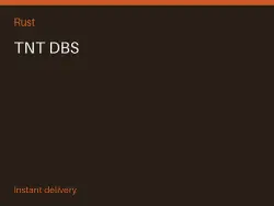 TNT DBS #566424212 — Rust, лот №265859