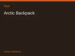 Arctic Backpack #575265858 — Rust, лот №266159