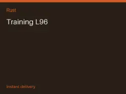 Training L96 #567658023 — Rust, лот №266275