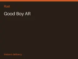 Good Boy AR #567767546 — Rust, лот №266329