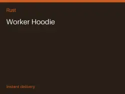 Worker Hoodie #569128316 — Rust, лот №266517