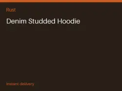 Denim Studded Hoodie #574628255 — Rust, лот №266813