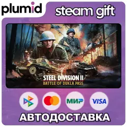 DLC Steel Division 2 - Battle of Dukla Pass Steam Gift / Россия + МИР / АВТО
