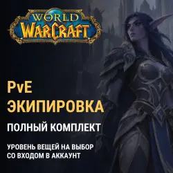Экипировка WoW Retail — RU и EU (PvE, уровень предметов на … — World of Warcraft, лот №267826
