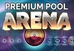 Premium Pool Arena | Ключ Steam (RU/CIS/WORLD)