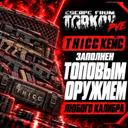 Escape from Tarkov PVE THICC заполненный оружием любого кал…, лот №268237